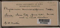 Image Associated With the Occurence